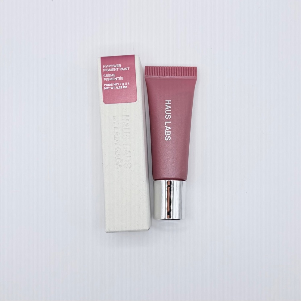 Haus Labs Hy-Power Pigment Paint Mauve Lip Paint in Burgundy Shimmer